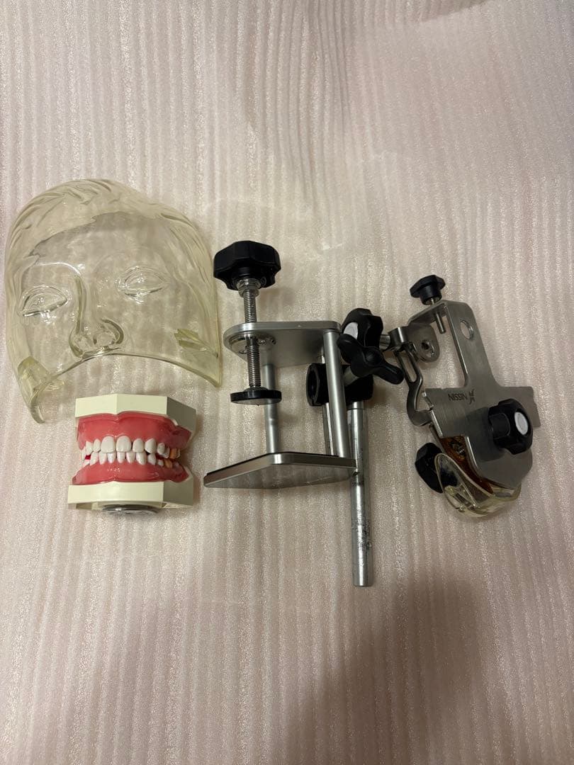 シンプルマネキン　歯科　NISSIN 歯科用模型のセット