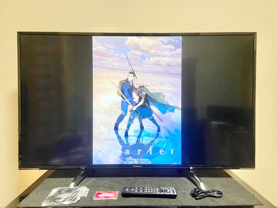 【今だけ優待価格】Panasonic VIERA 49V型4K・3チューナー