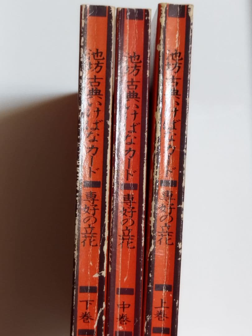 専好の立花　池坊古典いけばなカード　生け花