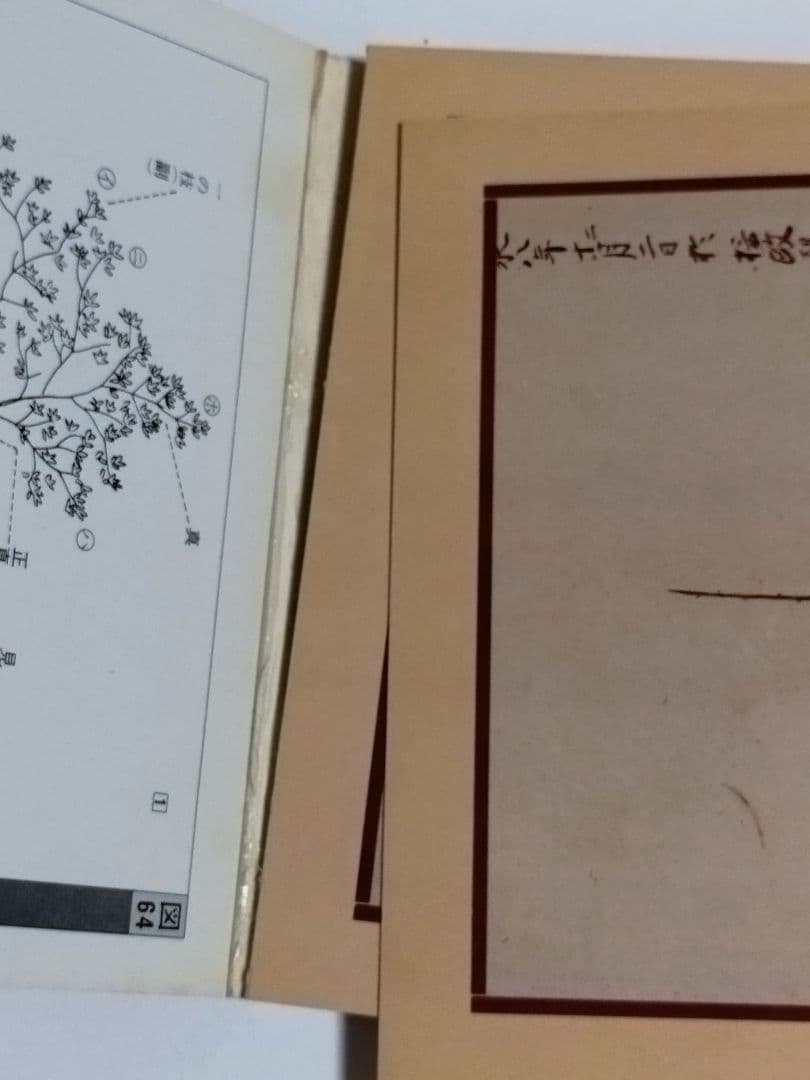 専好の立花　池坊古典いけばなカード　生け花