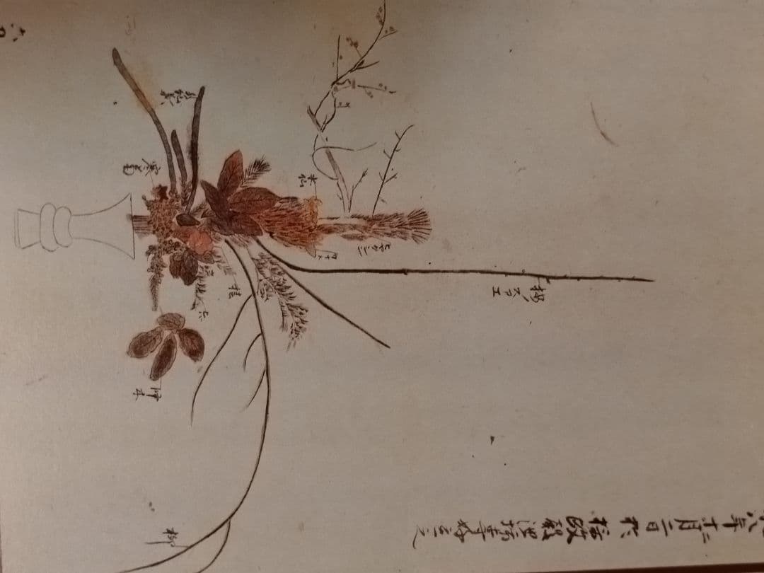 専好の立花　池坊古典いけばなカード　生け花