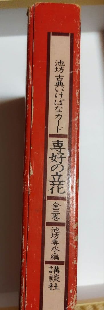 専好の立花　池坊古典いけばなカード　生け花