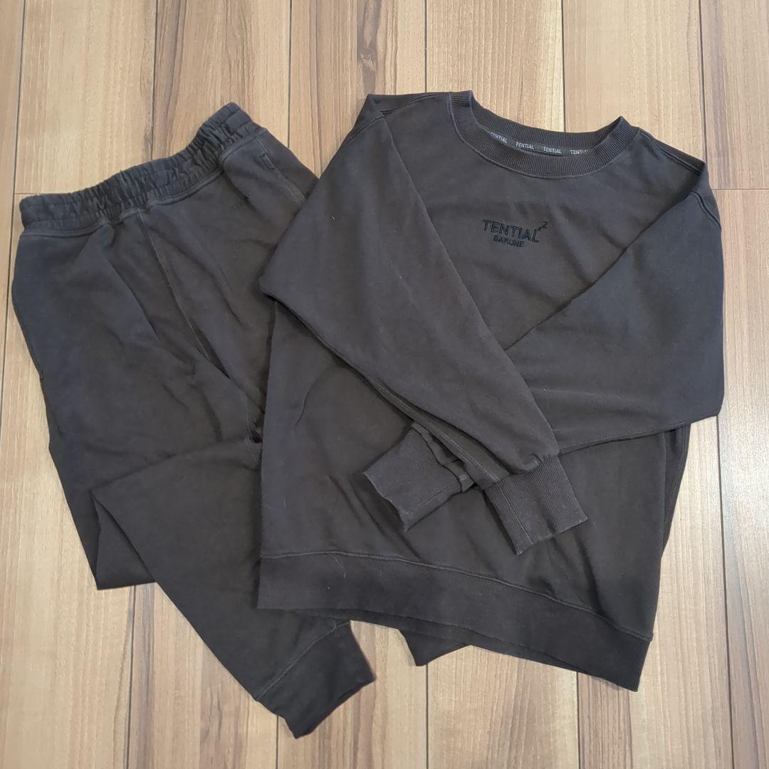 TENTIAl セットアップ