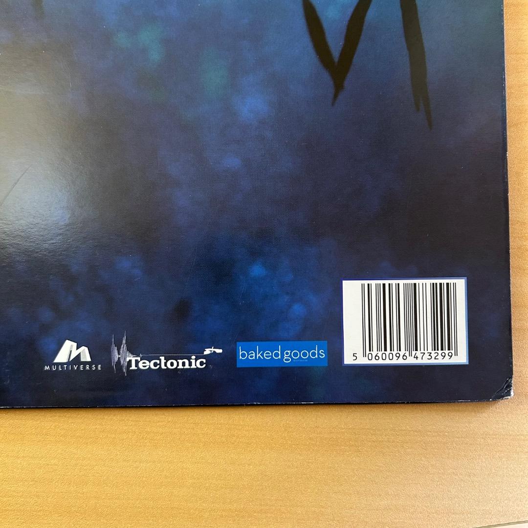 その他 PINCH Underwater Dancehall 2LP