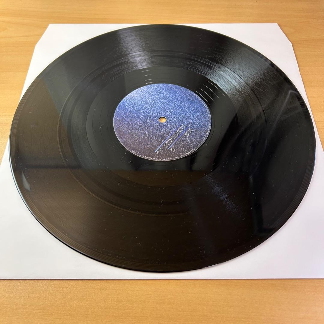 その他 PINCH Underwater Dancehall 2LP