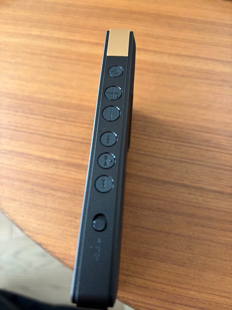 SONY ウォークマン NW-ZX707 純正保護ケース付き