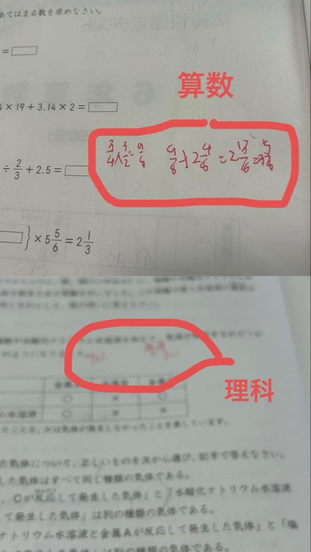 日能研 6年 【2025年度 】公開模試 【1年分】