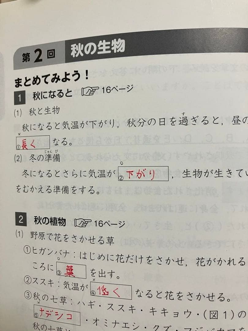 予習シリーズ4年生　上・下（国・算・理・社）まとめ売り