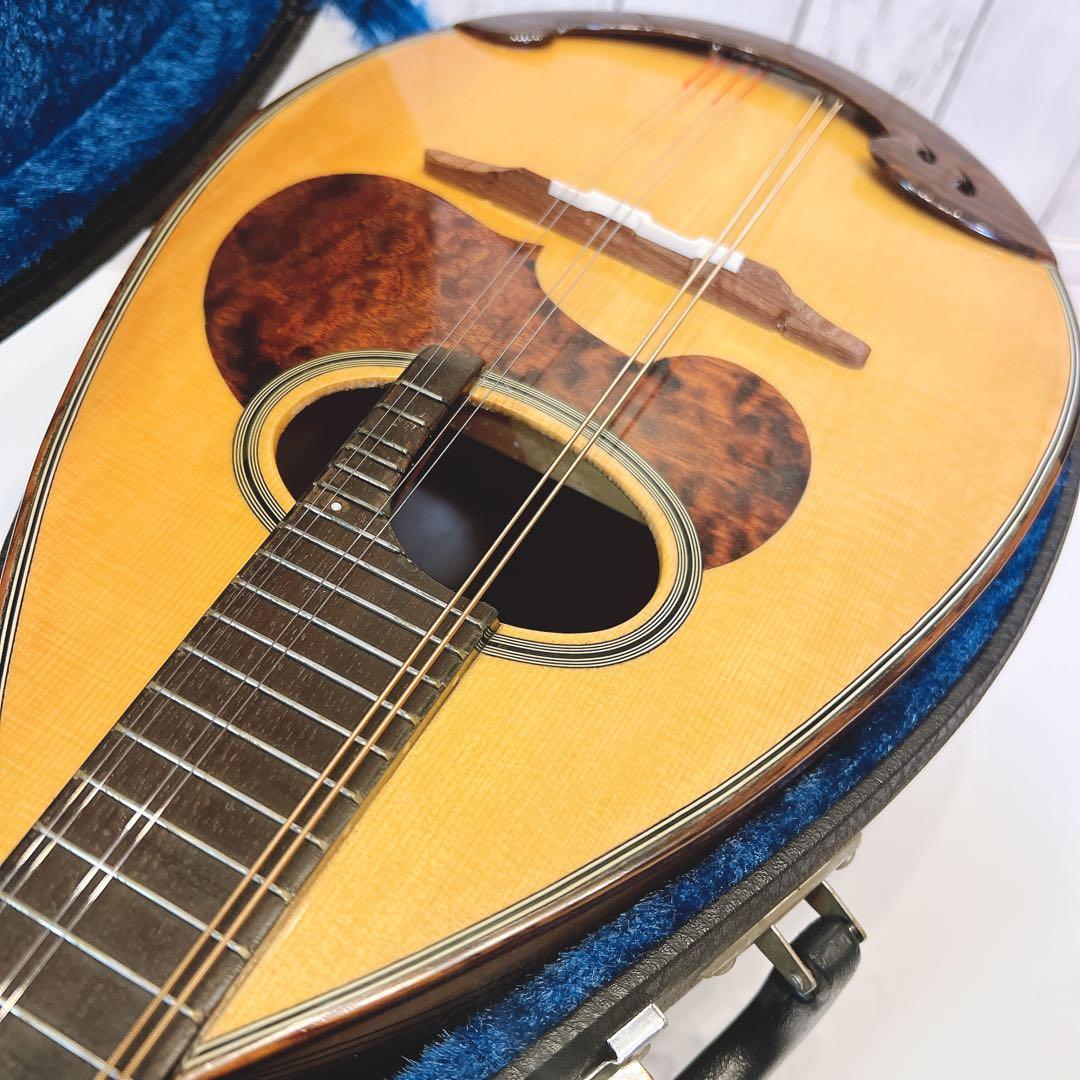 【極美品・限定1本】SUZUKI マンドリン　M-30 ハードケース　スズキ