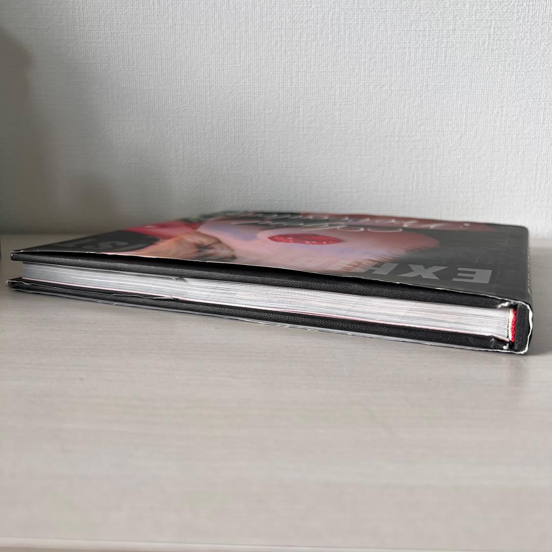 洋書 Agent Provocateur Exhibitionist