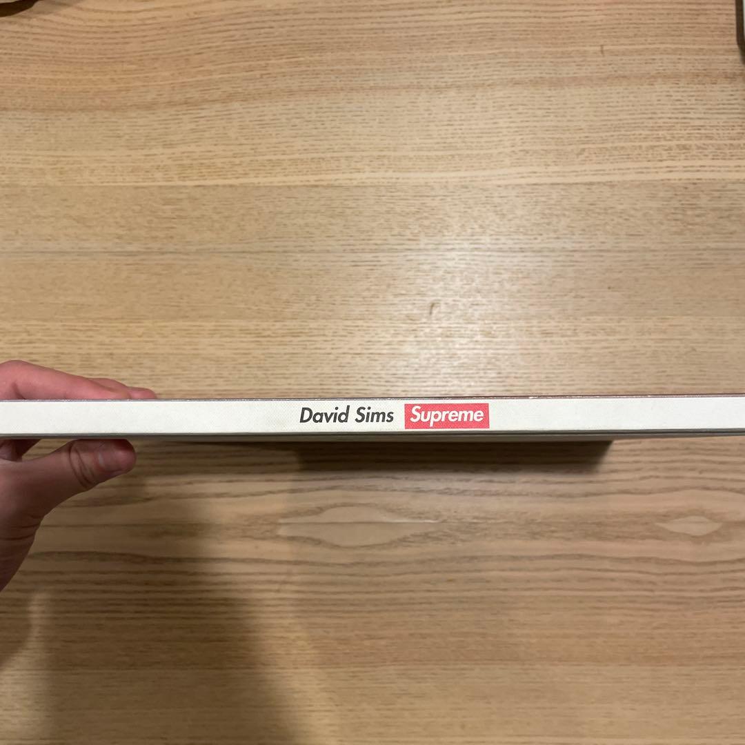 Supreme David Sims 写真集　2015AW