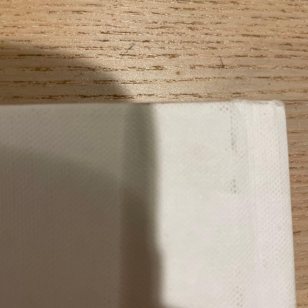 Supreme David Sims 写真集　2015AW