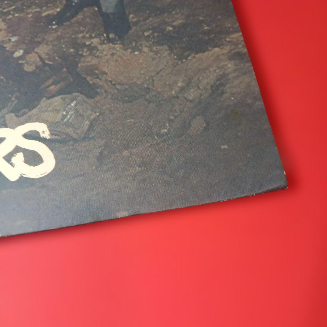 ルースターズ　LP レコードthe roosters