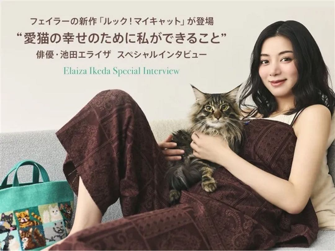 フェイラー　プティバス　「ルック！マイキャット」ギフト包装