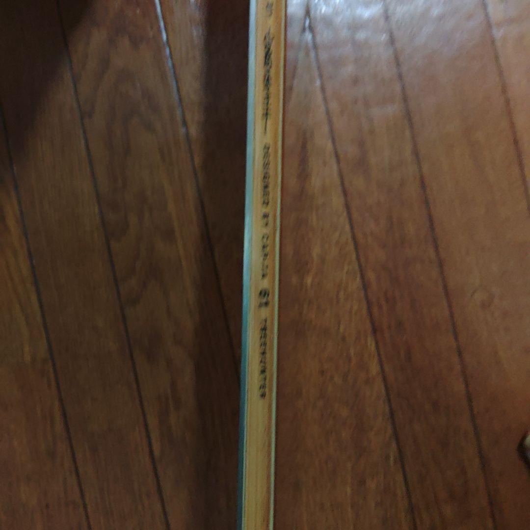 キャピタスプリングブレイクパウダーボード161