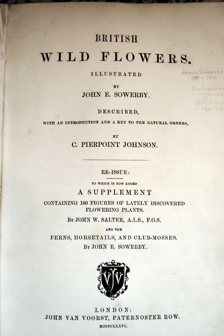 超希少 1876年 アンティーク WILD FLOWERS 手彩色 大型本