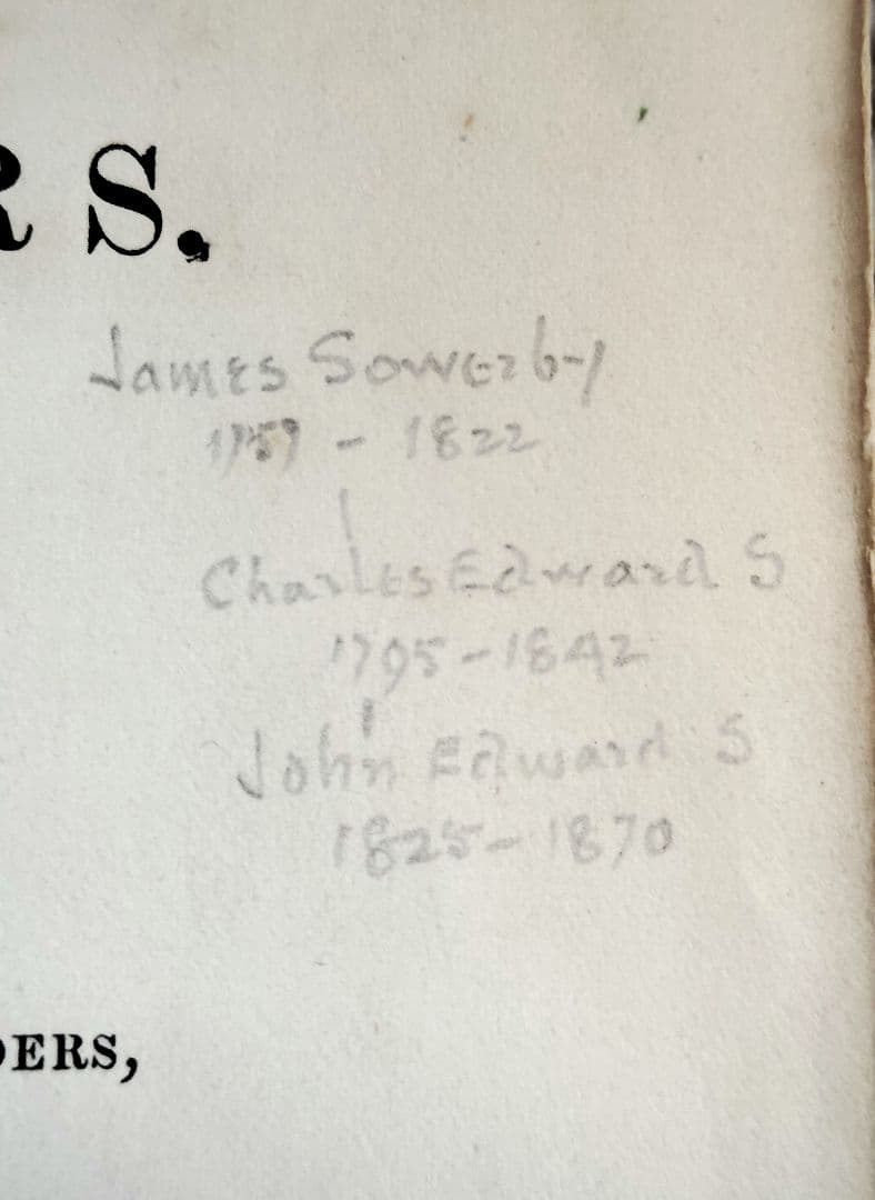 超希少 1876年 アンティーク WILD FLOWERS 手彩色 大型本