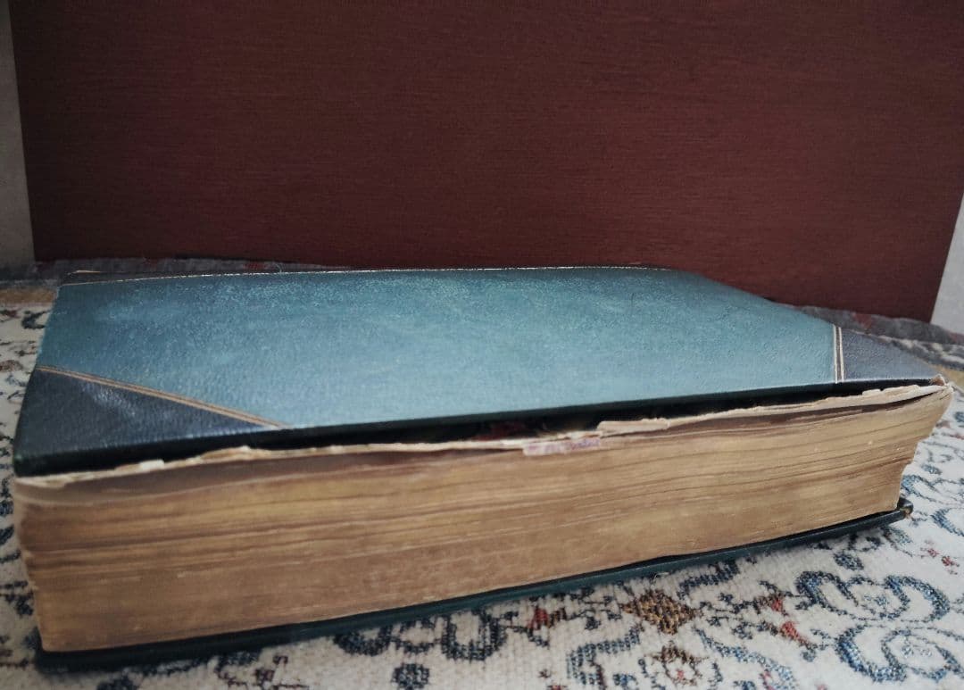 超希少 1876年 アンティーク WILD FLOWERS 手彩色 大型本