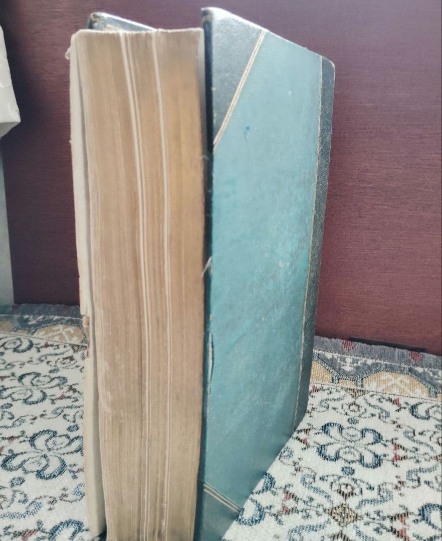 超希少 1876年 アンティーク WILD FLOWERS 手彩色 大型本