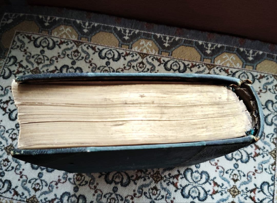 超希少 1876年 アンティーク WILD FLOWERS 手彩色 大型本