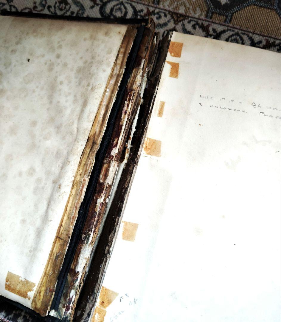 超希少 1876年 アンティーク WILD FLOWERS 手彩色 大型本