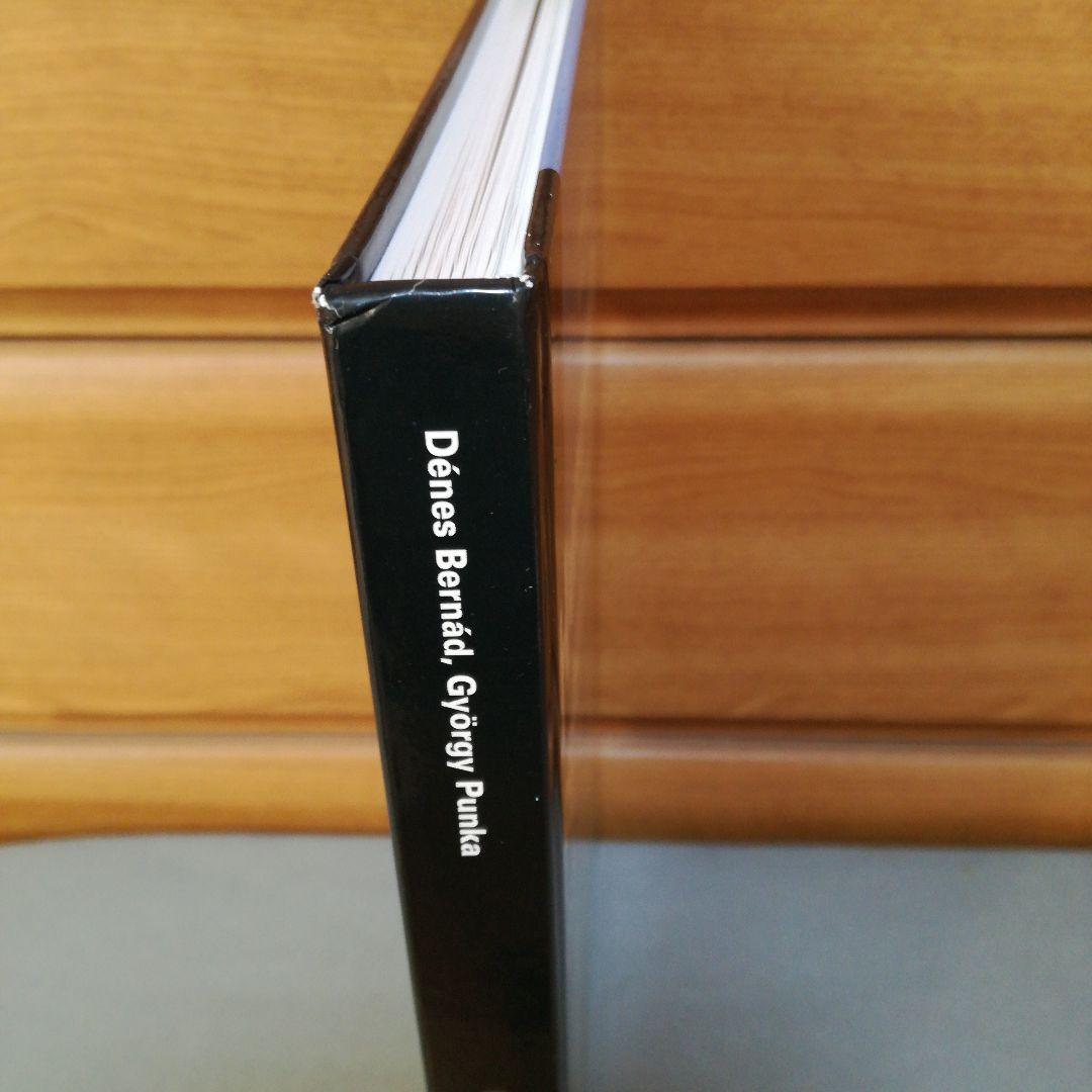 洋書 Hungarian Fighter Colours 1930-1945vol.2