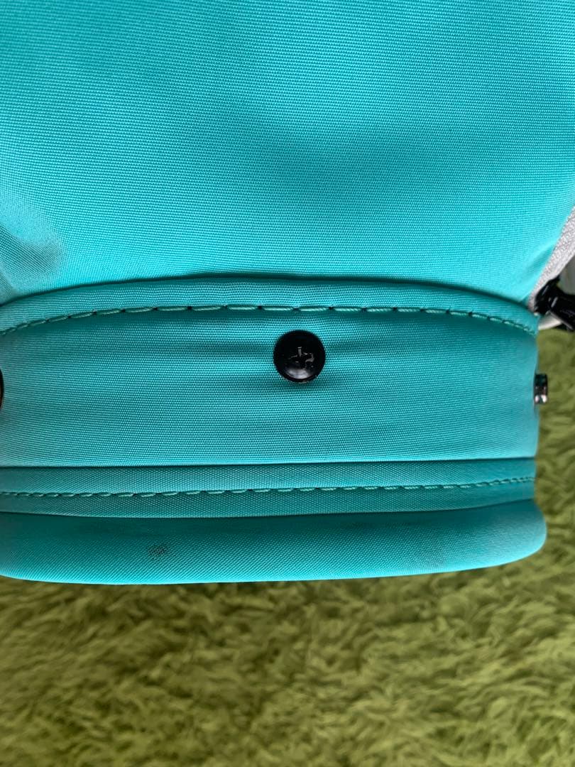 早い者勝ち価格❗️美品希少色‼️ BRIEFING CR-6 キャディバッグ