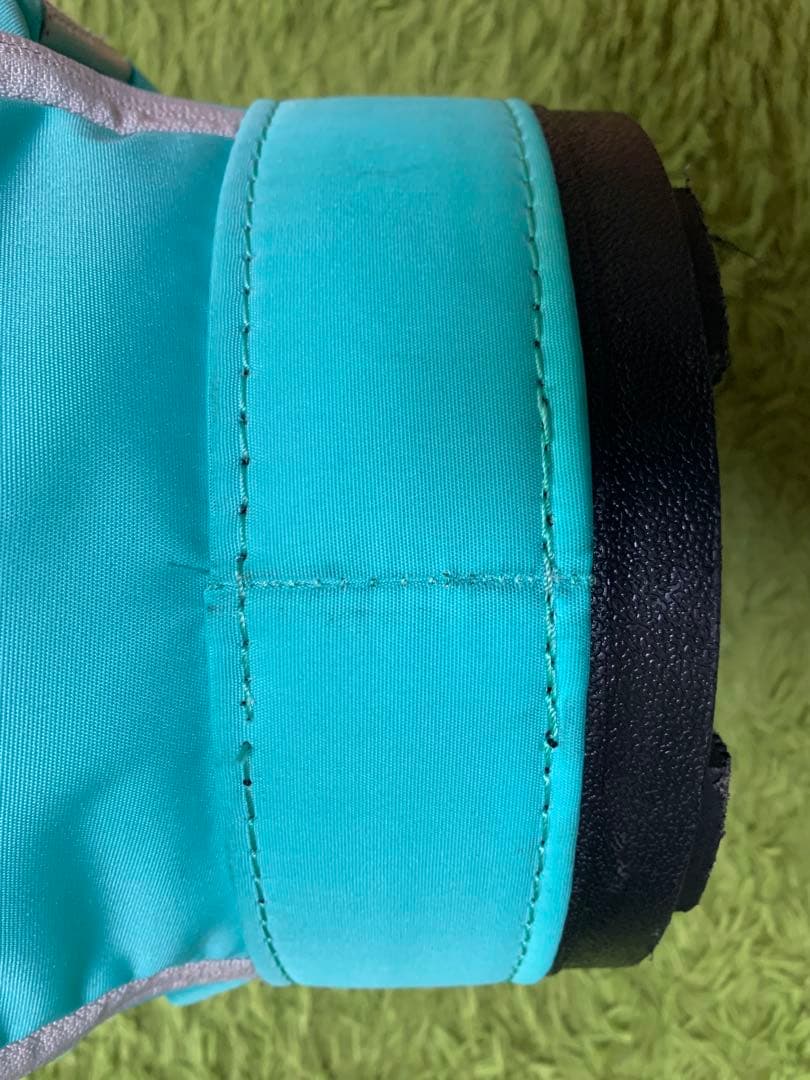 早い者勝ち価格❗️美品希少色‼️ BRIEFING CR-6 キャディバッグ