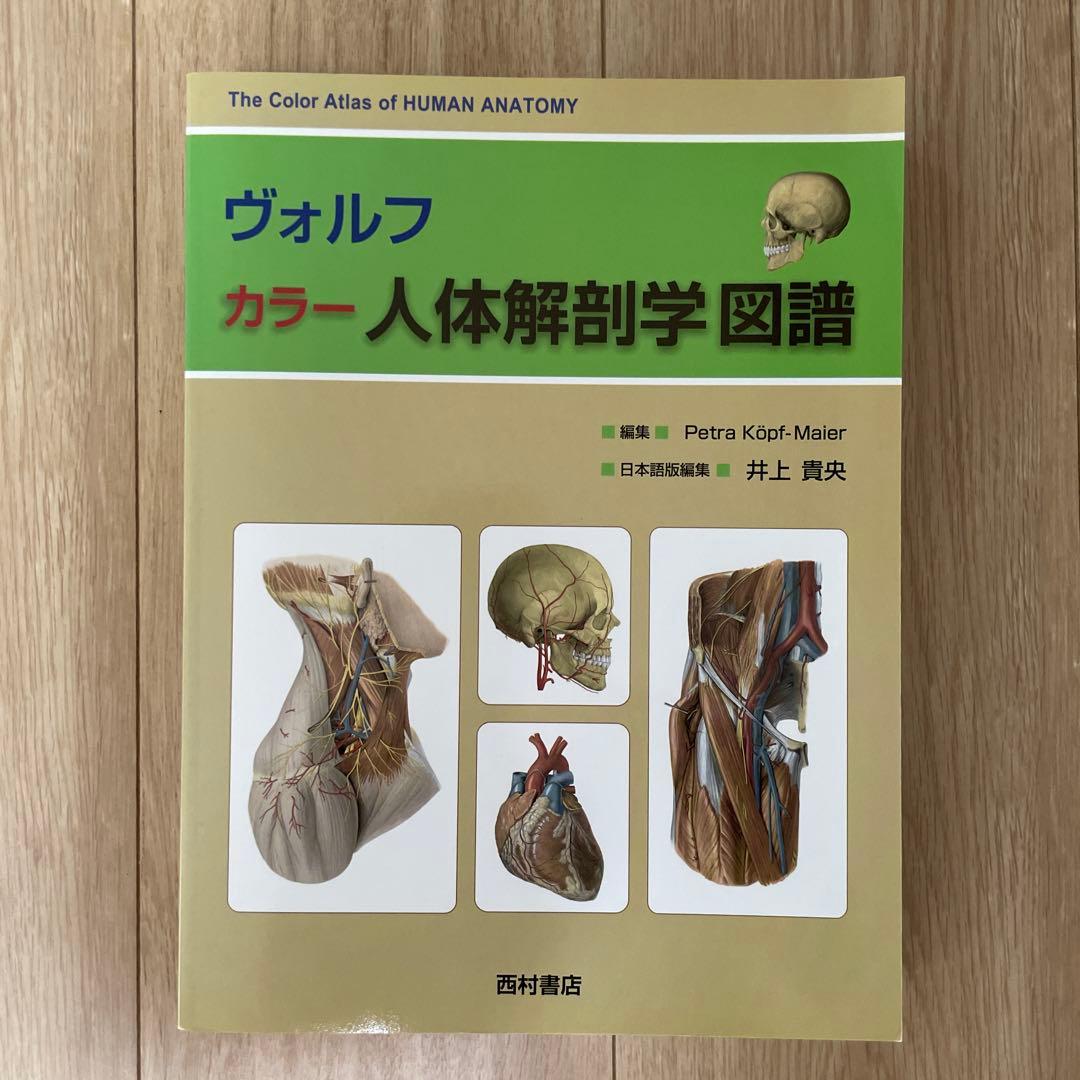 Anatomy 解剖学カラ―アトラス 第8版・ヴォルフ カラー 人体解剖学図譜