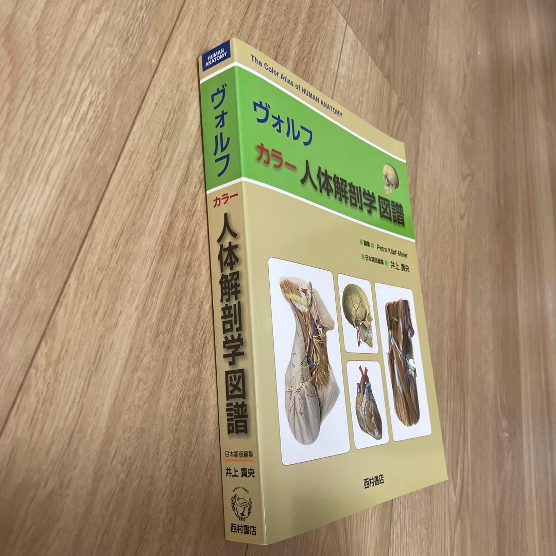 Anatomy 解剖学カラ―アトラス 第8版・ヴォルフ カラー 人体解剖学図譜