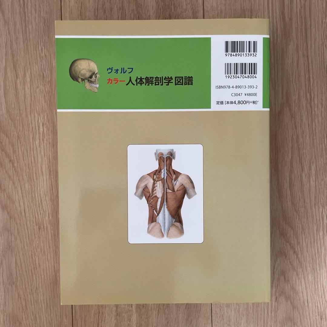 Anatomy 解剖学カラ―アトラス 第8版・ヴォルフ カラー 人体解剖学図譜