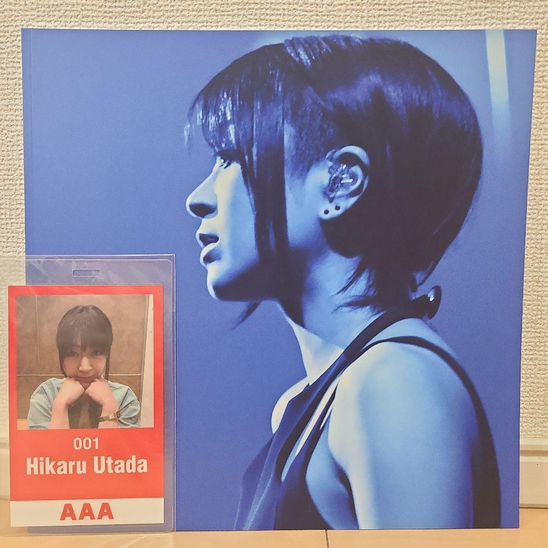 宇多田ヒカル LIVEツアー2018　グッズまとめ売り　5点セット