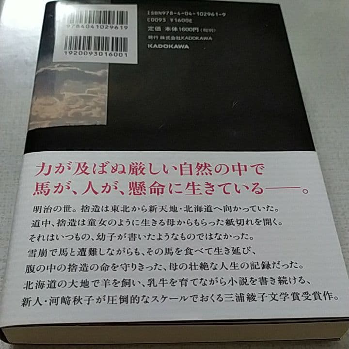 bonkura様 おまとめ 颶風の王　Sold