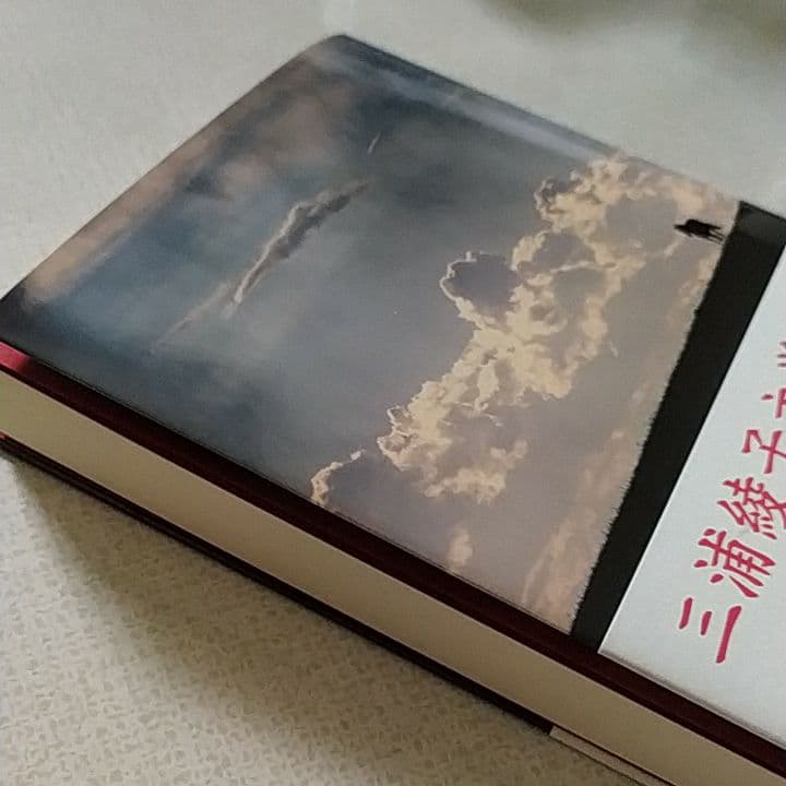 bonkura様 おまとめ 颶風の王　Sold