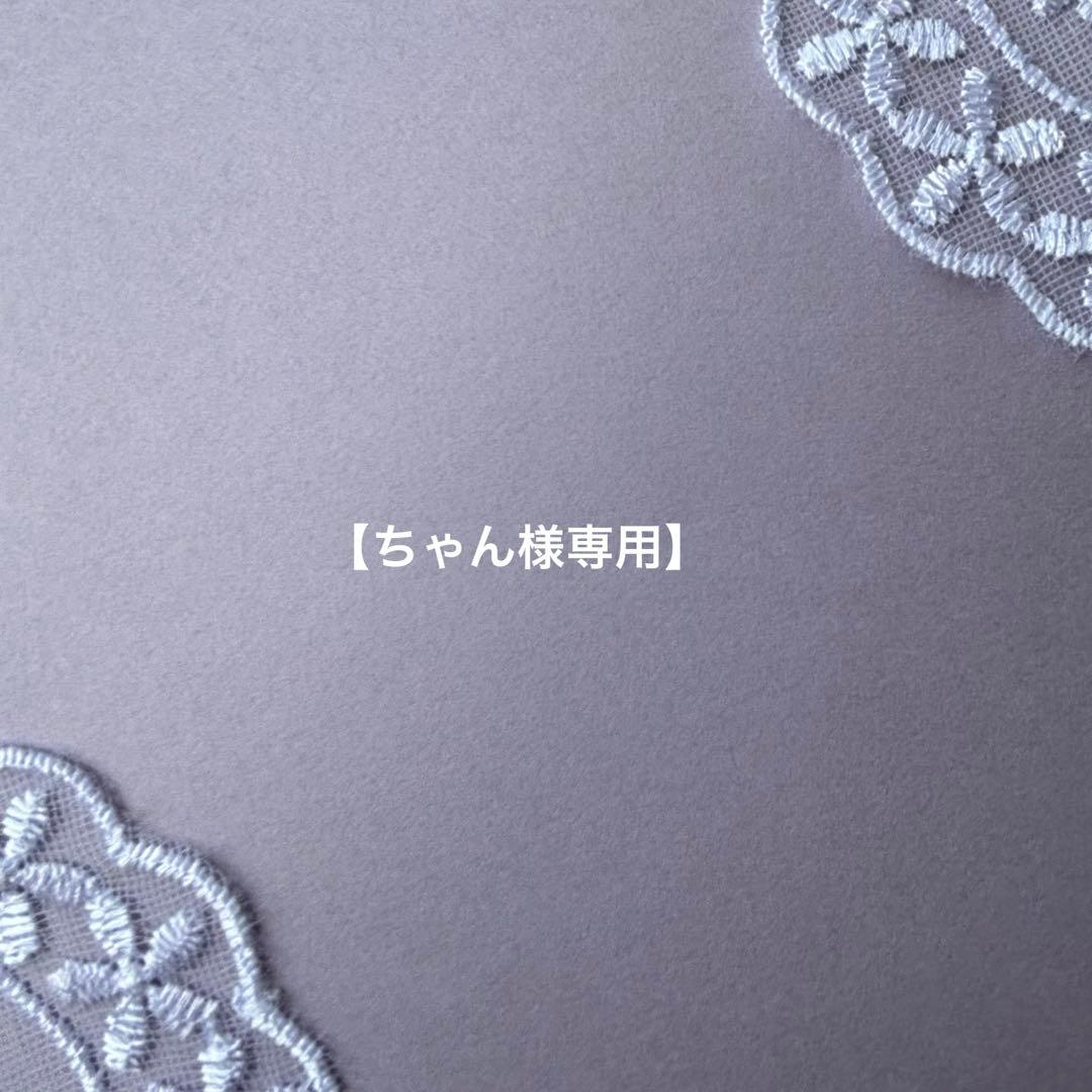 【専用です】14kgf✴︎レッドアンバー３点セット・他