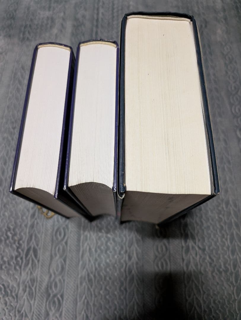 ポーランド語 英語 辞典 対訳 オックスフォード 辞典 発音 語学 参考書 洋書