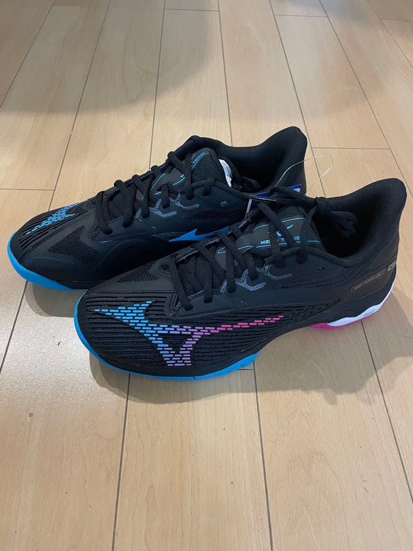 テニスシューズ ミズノ ウェーブエクシードライト２OC オムニクレー 25.5