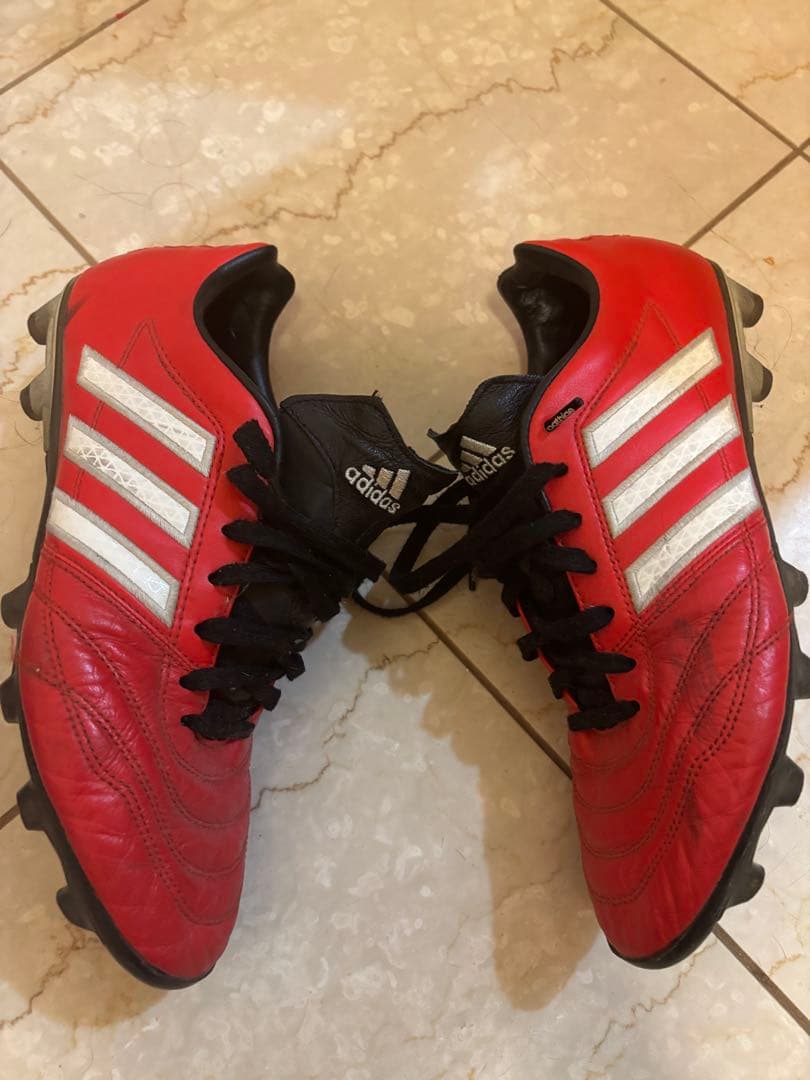 パティーク　グローロ