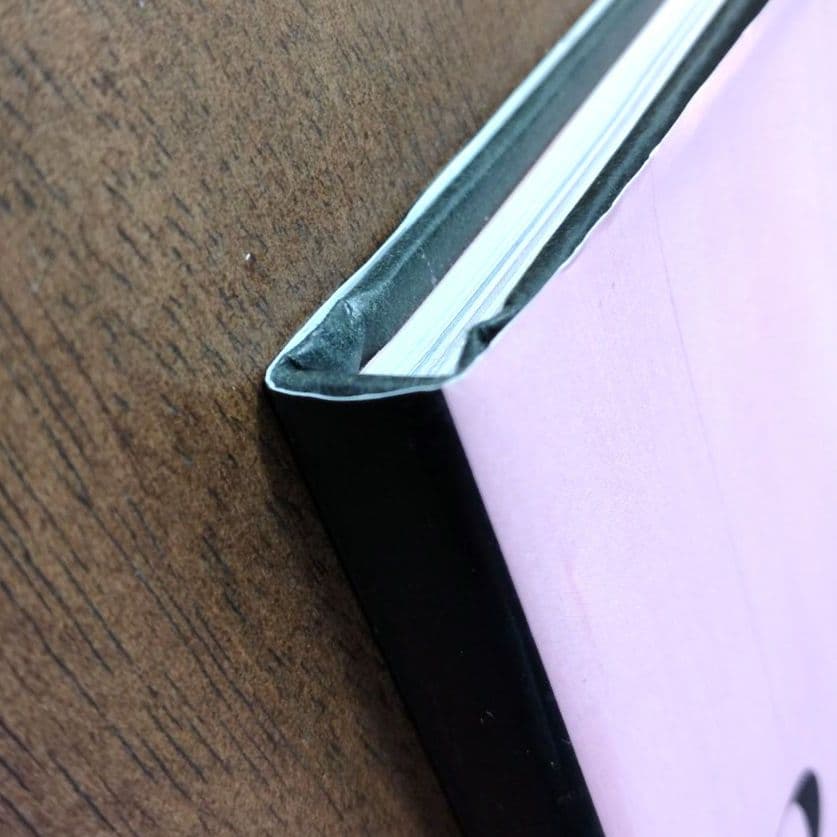 ルネ・グリュオー作品集【帯付】