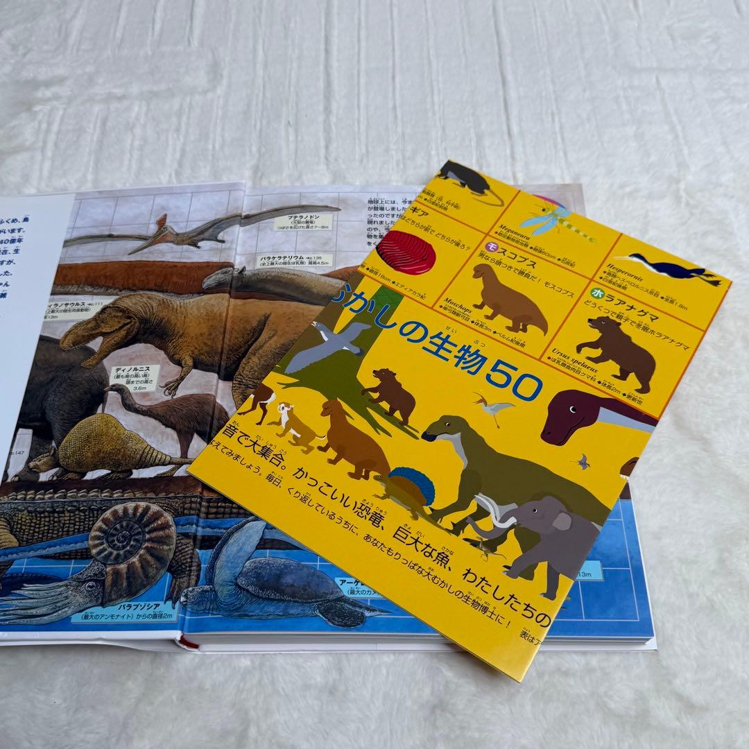 【良品・カバーあり】小学館の図鑑NEO 全巻20冊セット