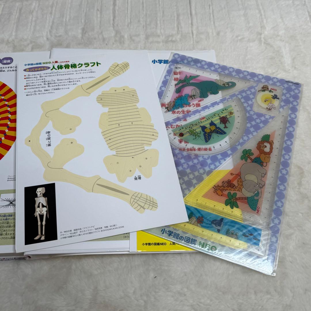 【良品・カバーあり】小学館の図鑑NEO 全巻20冊セット