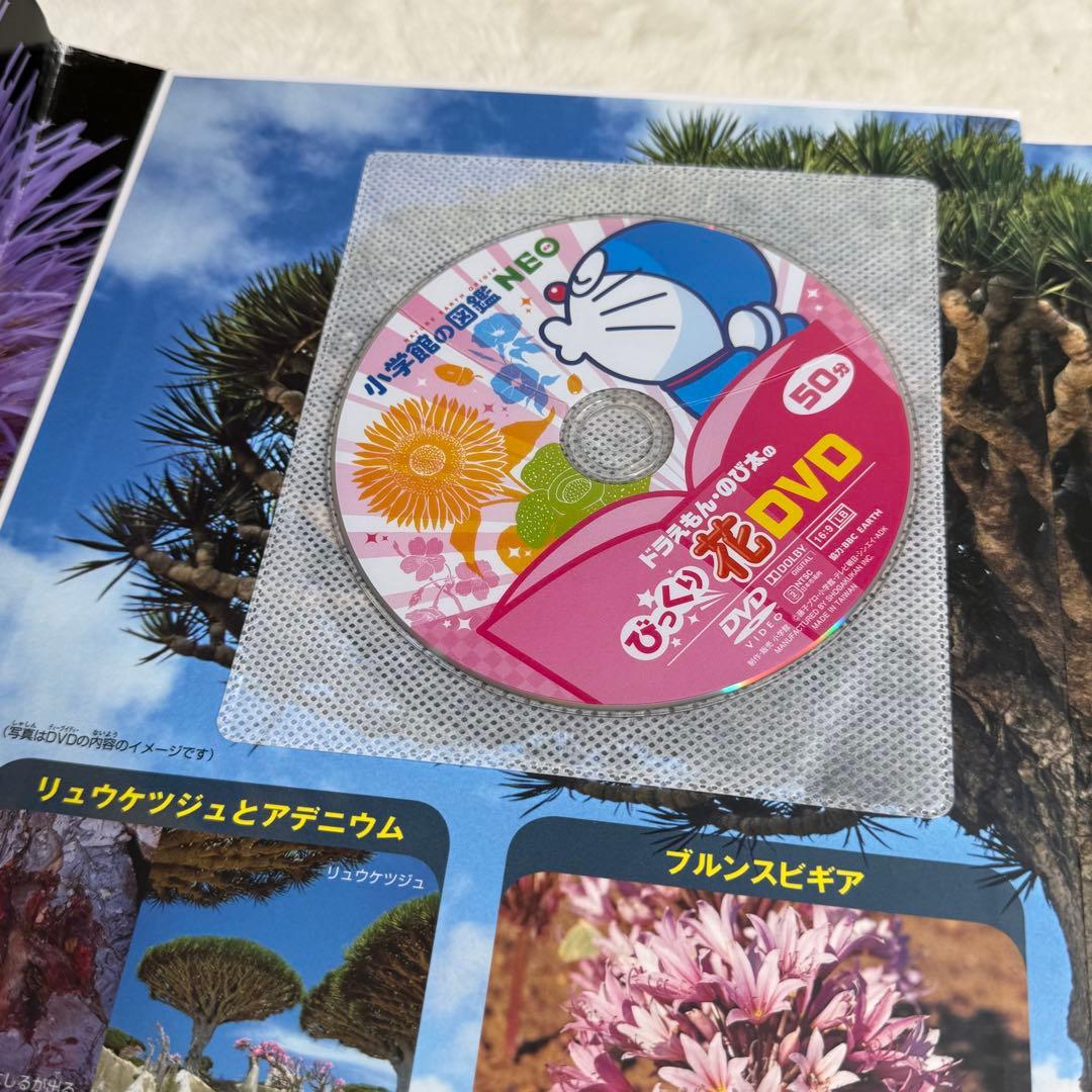 【良品・カバーあり】小学館の図鑑NEO 全巻20冊セット