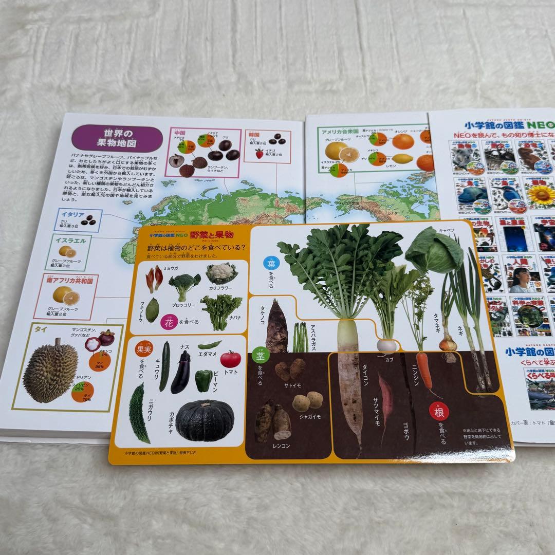 【良品・カバーあり】小学館の図鑑NEO 全巻20冊セット