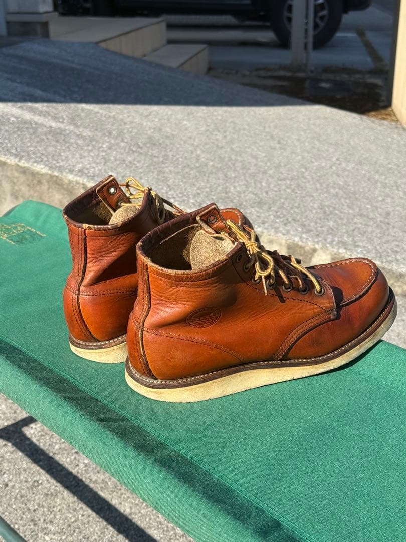 【犬刻印】　希少　レッドウィング 875 7 1/2 アイリッシュセッター