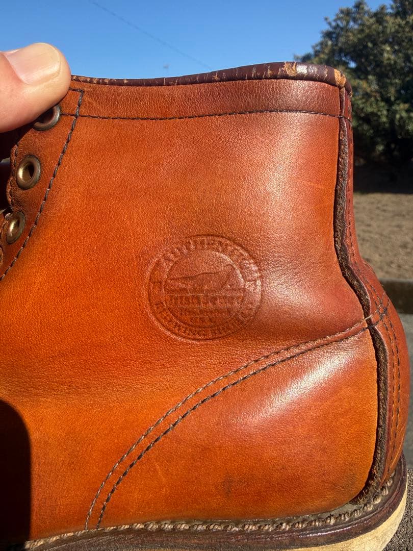 【犬刻印】　希少　レッドウィング 875 7 1/2 アイリッシュセッター