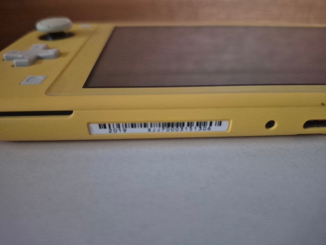 Switch Lite 難有 ジャンク品 スイッチライト