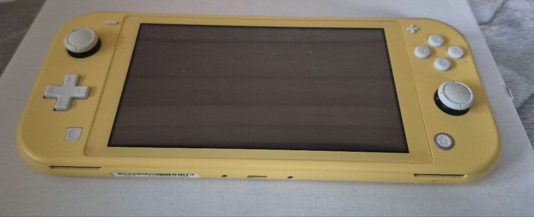 Switch Lite 難有 ジャンク品 スイッチライト