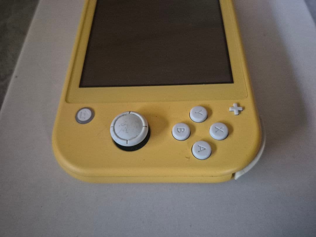 Switch Lite 難有 ジャンク品 スイッチライト