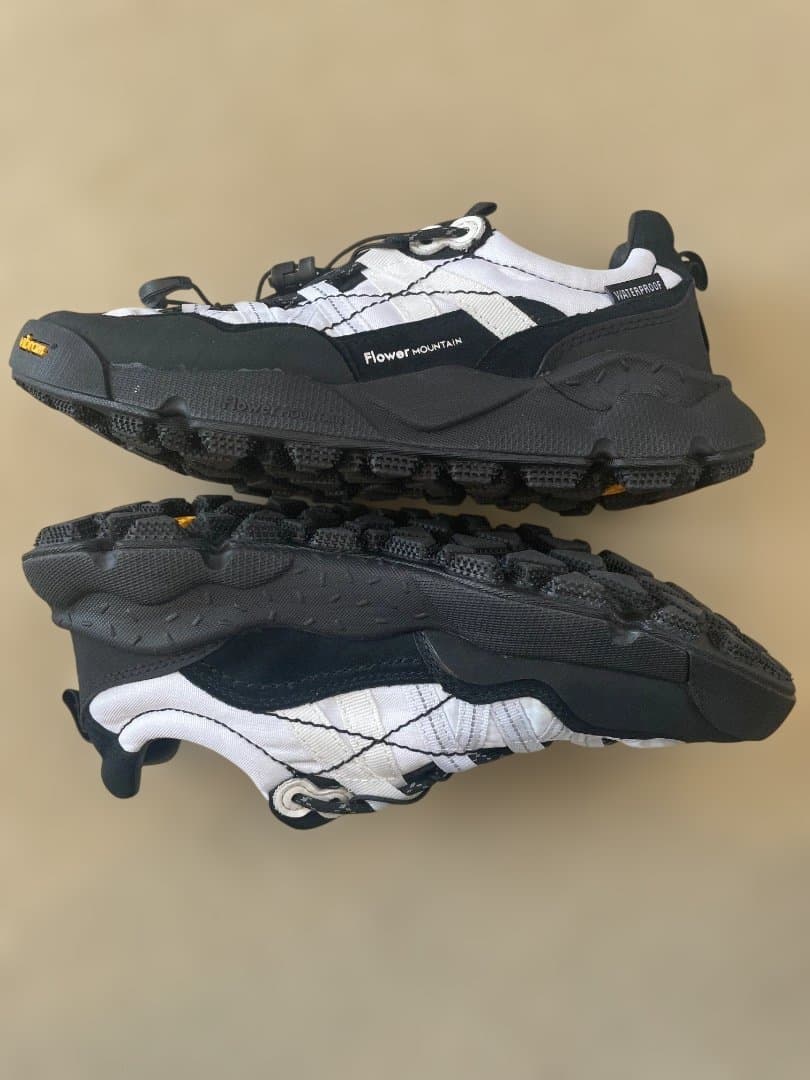 Flower MOUNTAIN フラワーマウンテン イワノ2