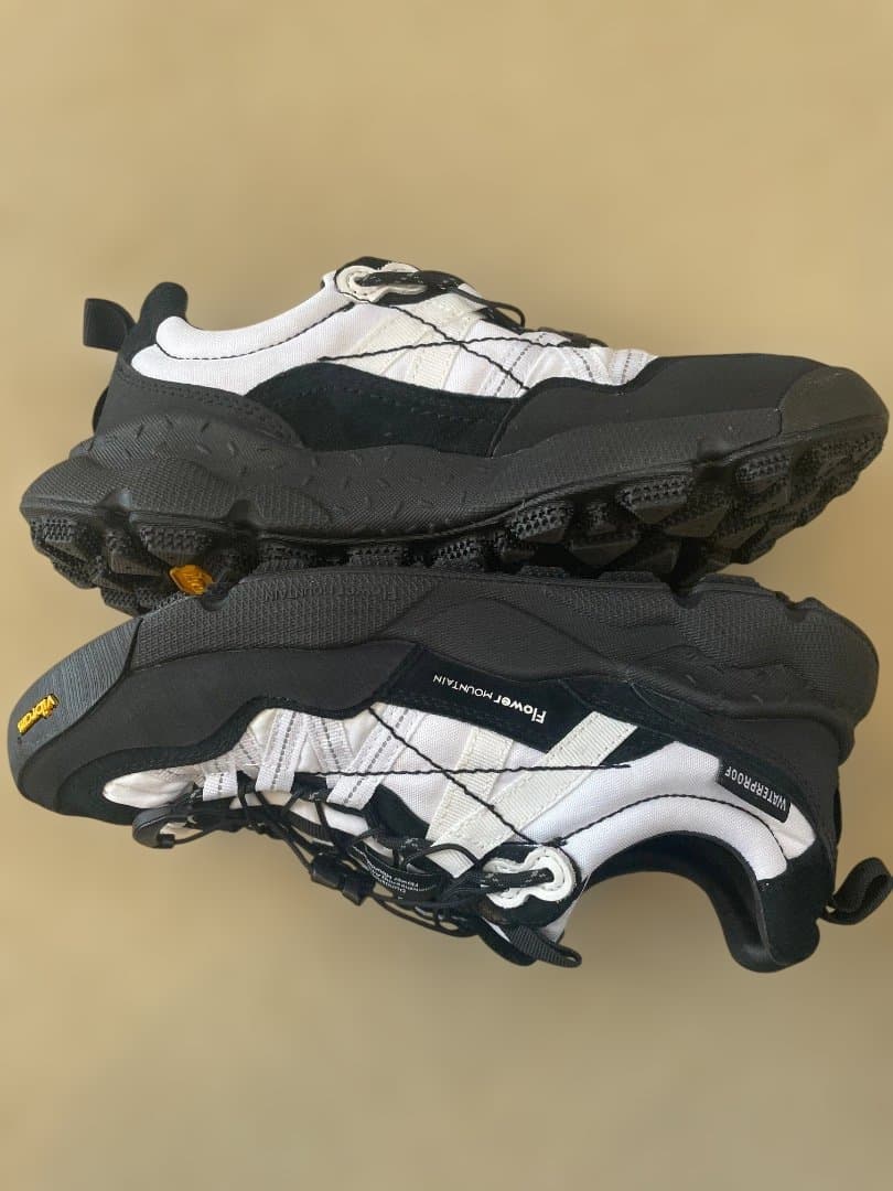 Flower MOUNTAIN フラワーマウンテン イワノ2